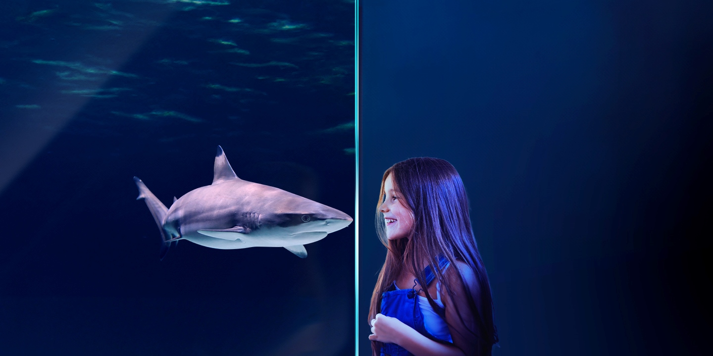 Atlantis Aquarium Madrid