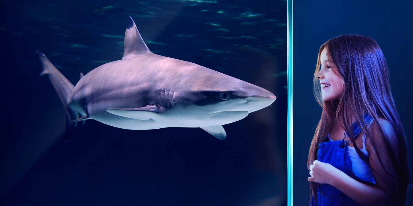 Atlantis Aquarium Madrid