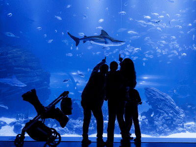 Atlantis Aquarium Madrid