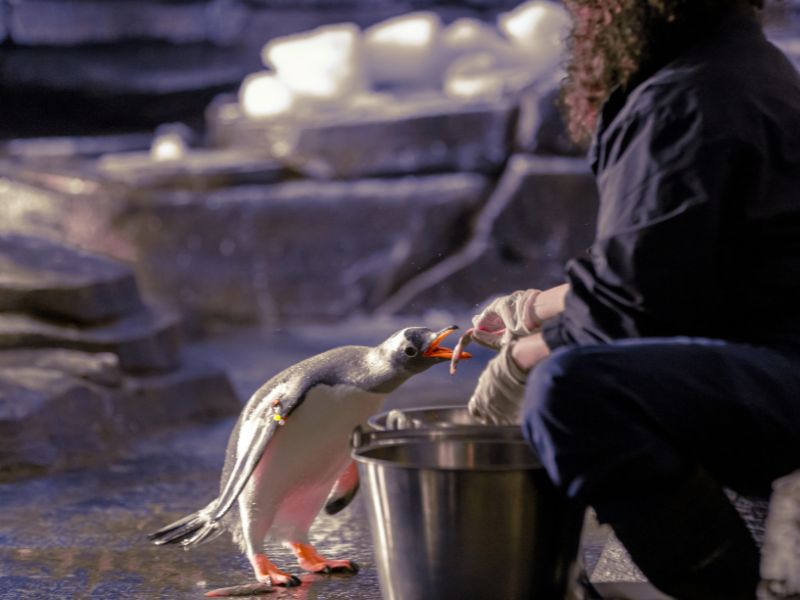 Atlantis Aquarium Madrid