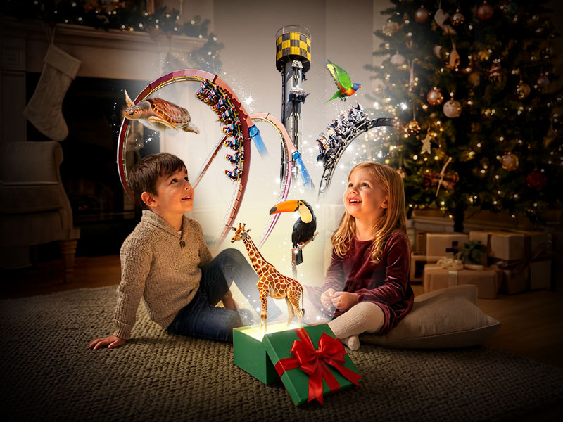 Navidad Bono Parques