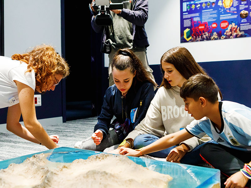 Profesores en Atlantis Aquarium Madrid