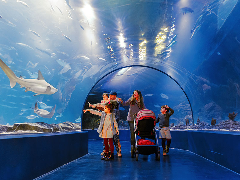 Merece la pena Atlantis Aquarium Opiniones
