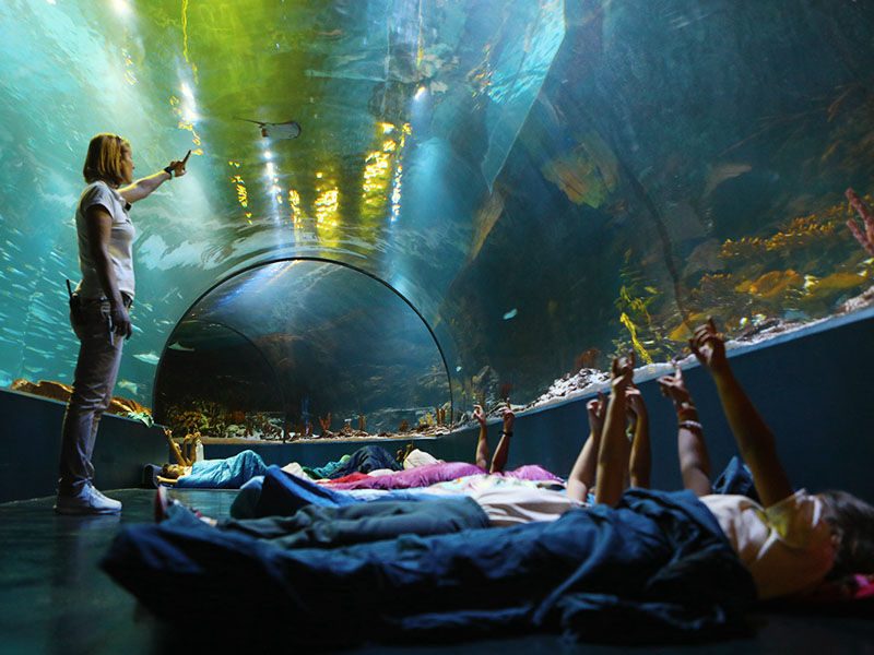 Atlantis Aquarium Madrid
