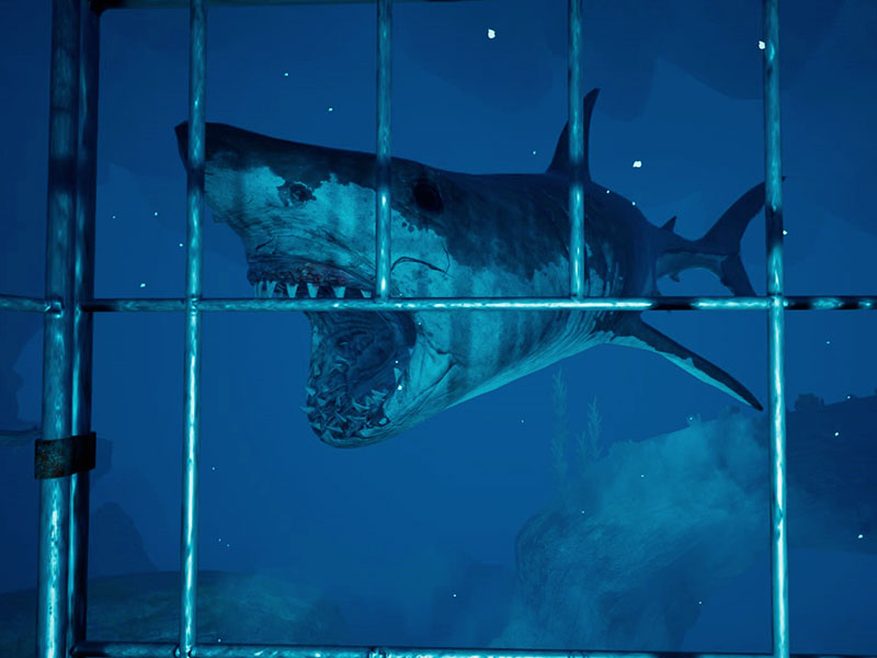 Vive en primera persona la experiencia de realidad virtual
