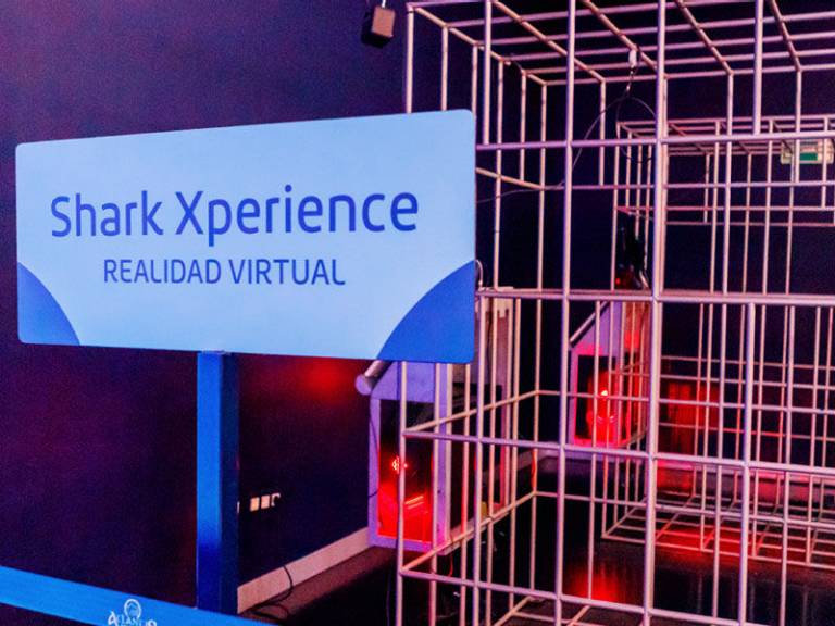 Shark Xperience Virtual Reality
