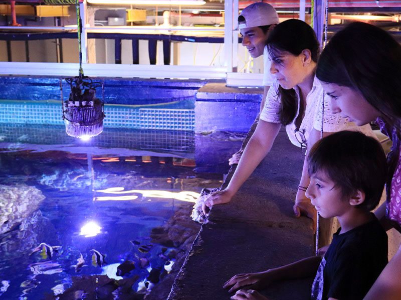 Visita VIP: Corazón de Atlantis