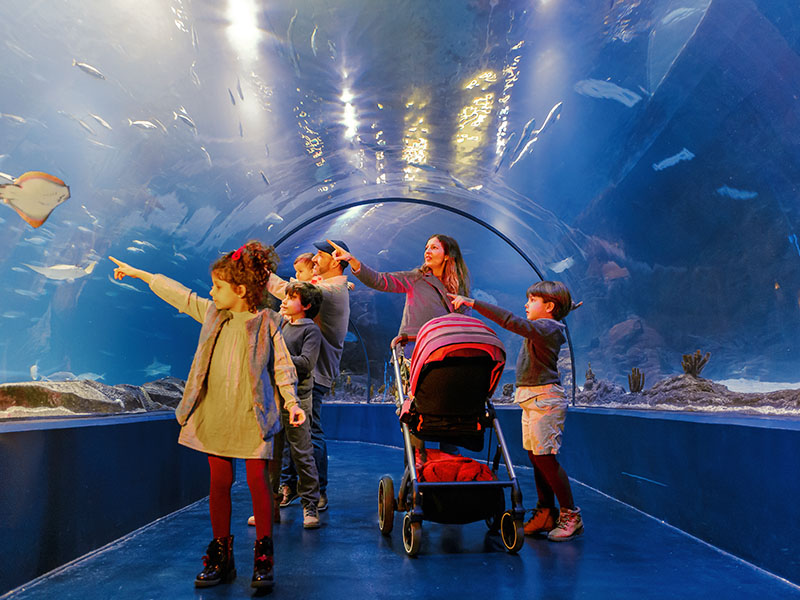 Atlantis Aquarium Madrid presenta una vuelta al cole mágica y sostenible para septiembre