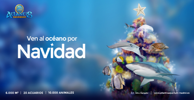 ¡Esta Navidad ven al océano en Atlantis Aquarium Madrid!