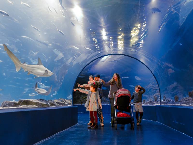 Planes divertidos para explorar Madrid en familia