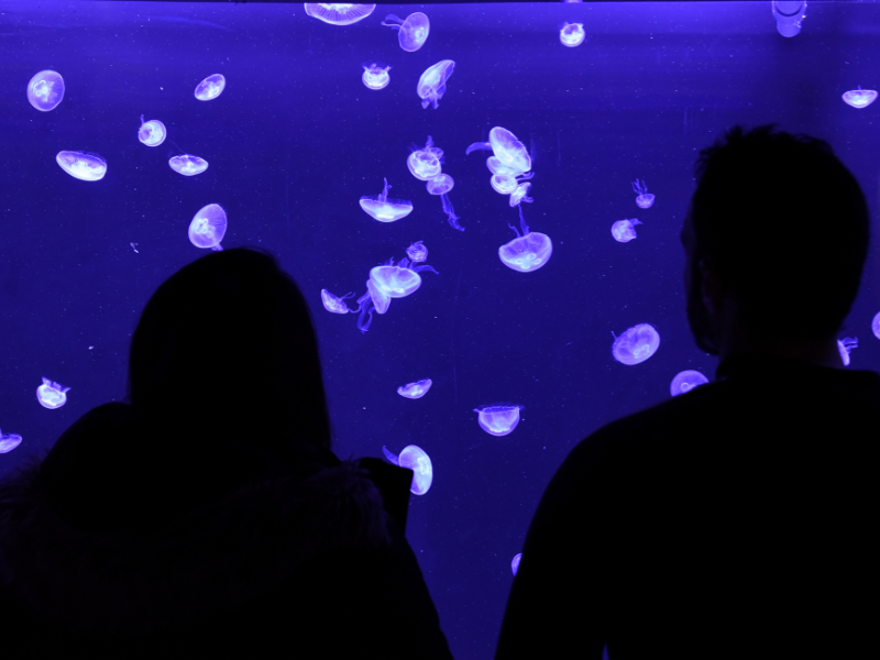 Descubre experiencias únicas y románticas