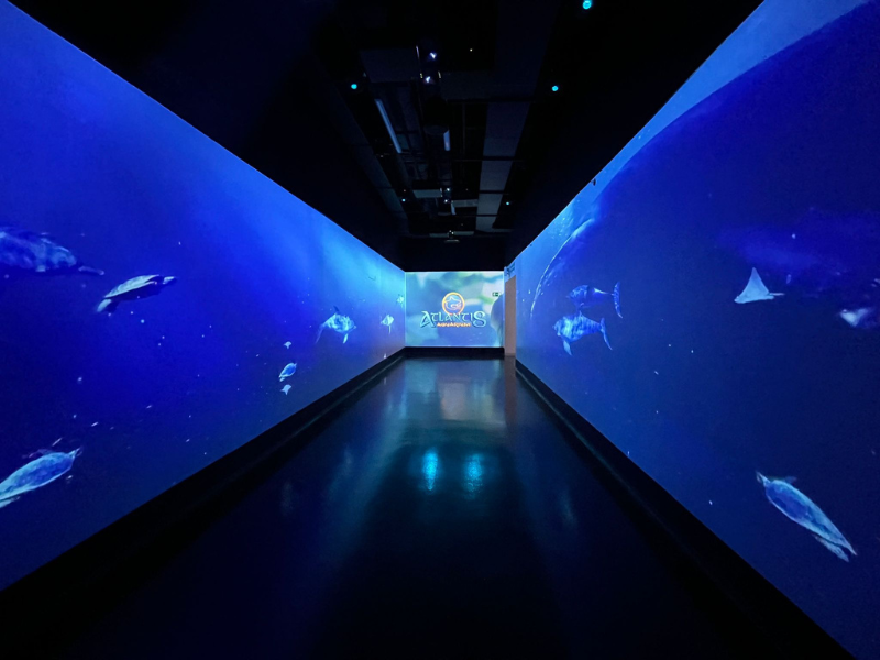 Pasillo inmersivo en Atlantis Aquarium Madrid