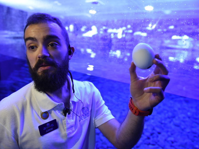 charla-educativa-atlantis