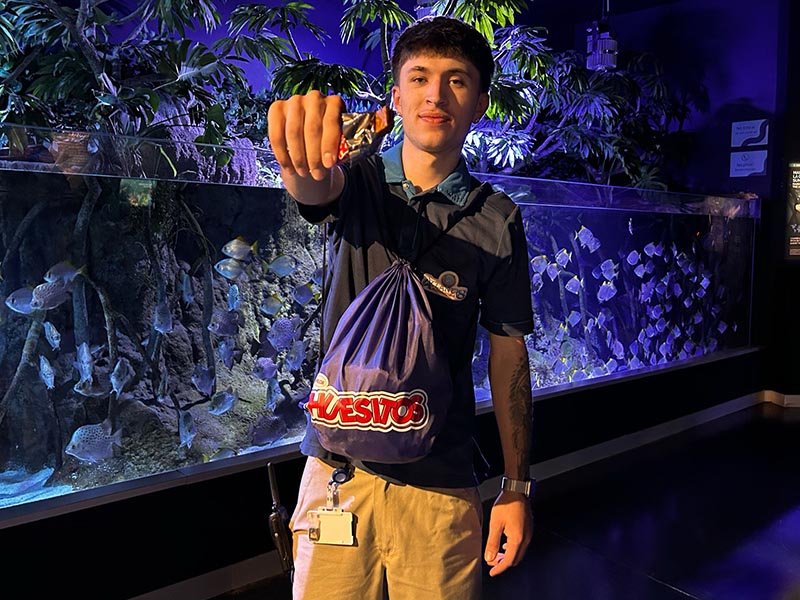 Atlantis Aquarium Madrid, uno de los mejores planes de Semana Santa en el sur de Madrid