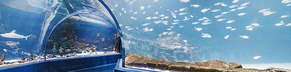 Bono Parques Atlantis Aquarium