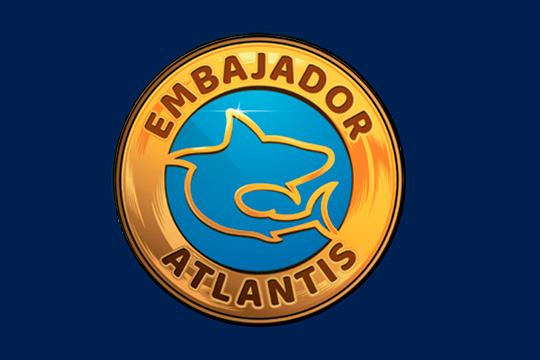Pin ajolote