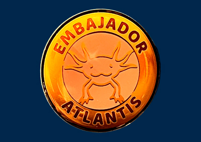 Pin ajolote