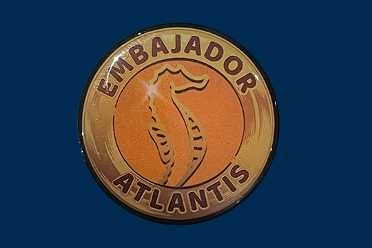Pin ajolote