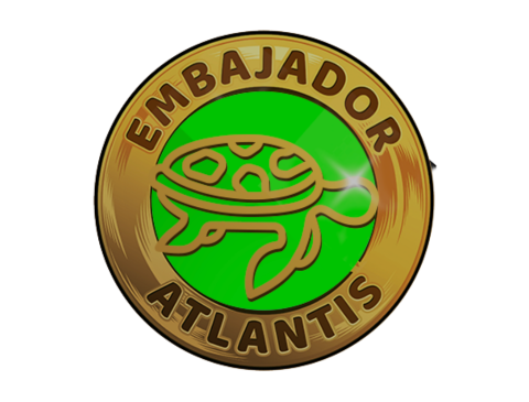 Pin ajolote