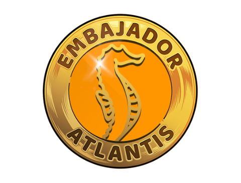 Pin ajolote
