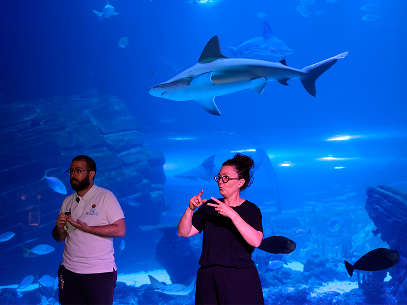 Acreditación de Atlantis Aquarium Madrid de la Fundación CNSE